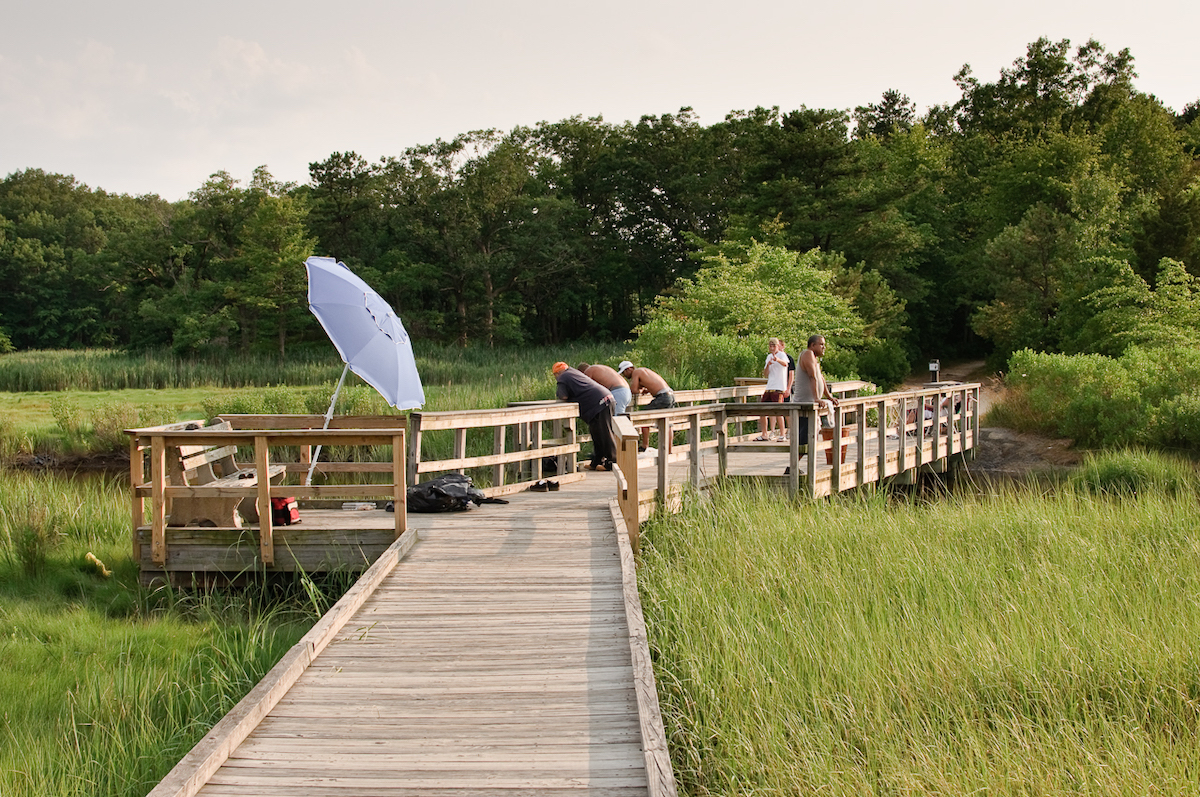 A wooden bridge with a few hikers on it in New Jersey's Cheesequake State Park