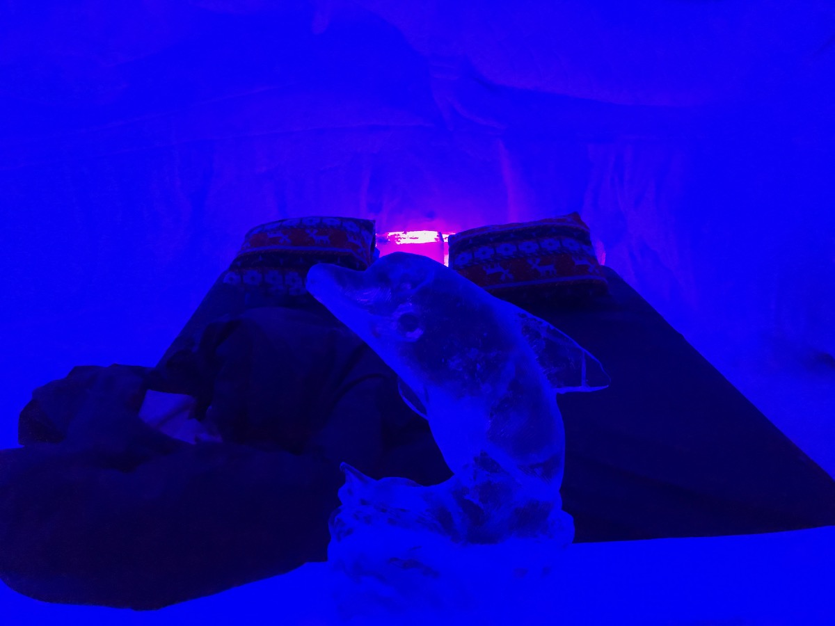 A dark blue-lit room with a bed and an ice sculpture of a dolphin.