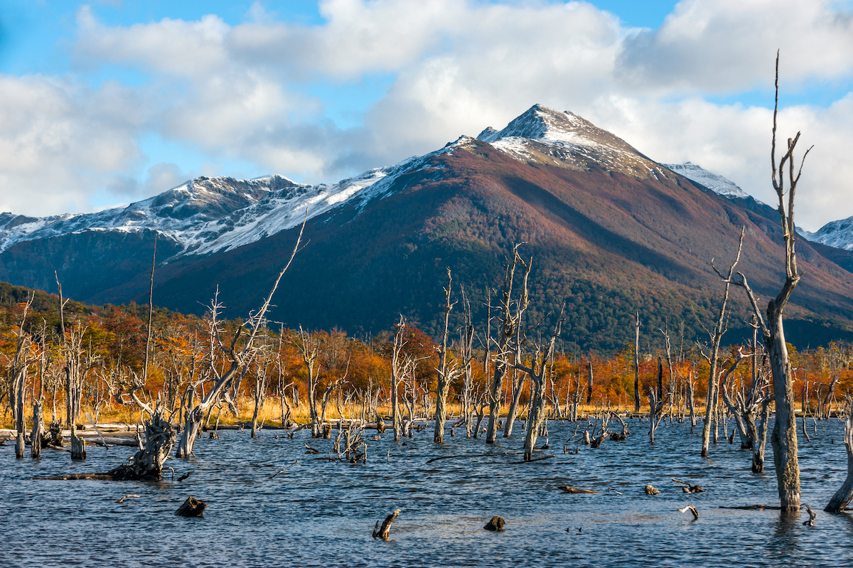 Autumn in Patagonia. Lake Escondido in the middle of the Cordillera Darwin, part of Andes, Isla Grande de Tierra del Fuego, Argentina side