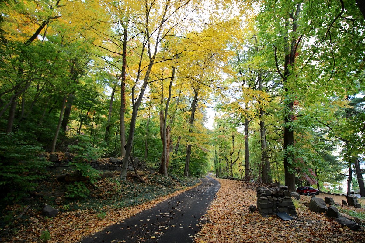 Hiking trail with a clear bath surrounded by trees