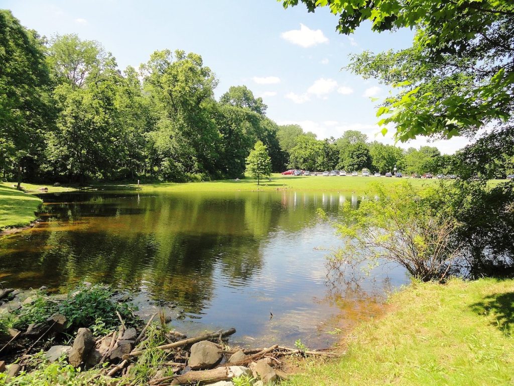 A well-kept lake surrounded by trees during the day