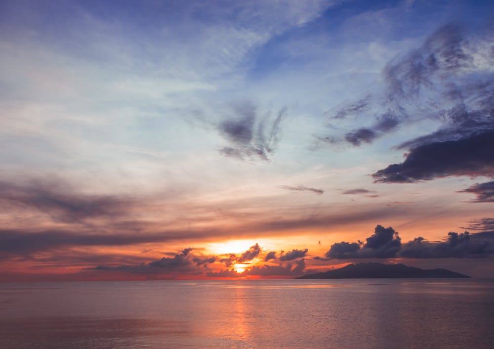 pexels henry 1055605 8837867