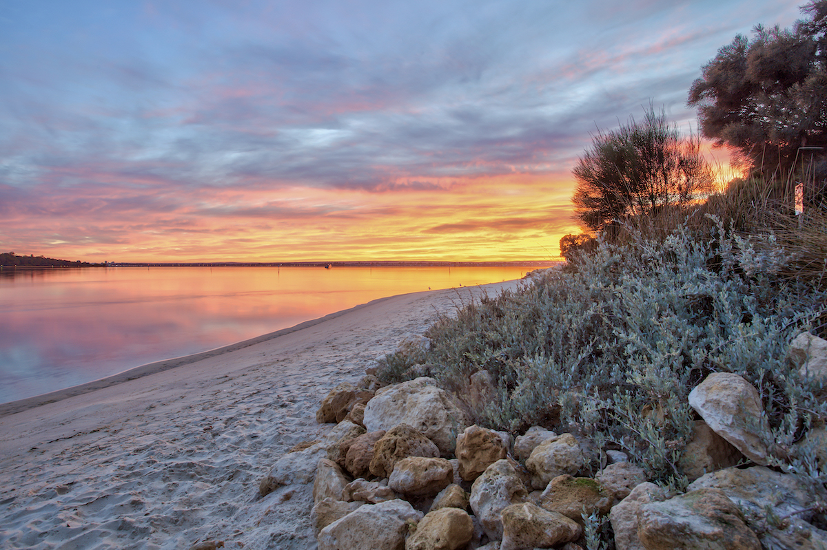 How To Plan The Ultimate Australia Road Trip in 2024 • western australia Fauna surrounding rocks on a beach at sunset.